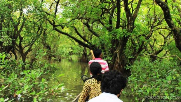 Travelers enter Ratargul forest riding such a small dinghi boat through the gaps of the trees.