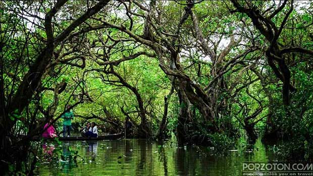 Tourists boarding small boats move through Ratargul swamp forest to enjoy the beauty of nature.
