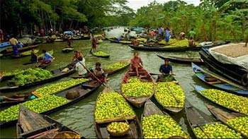 Kuriana floating guava bazaar, A Place to visit in Barisal division