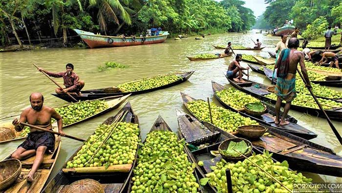 floating guava market Jhalokati