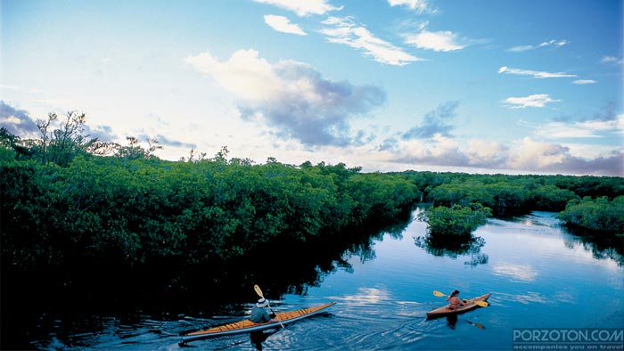 Everglades National Park, Top 10 Tourist Attractions in Miami.