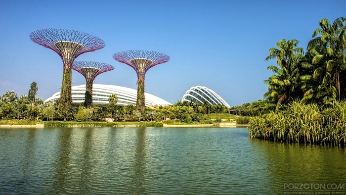 Gardens by the bay - Top 10 Places to Visit in Singapore for free