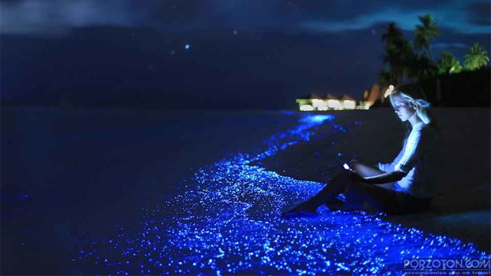 Sea of Stars Maldives, Glowing Beach of Vaadhoo Island.
