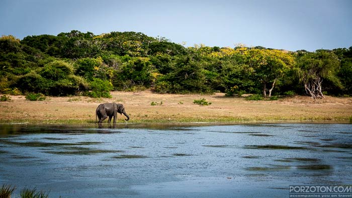 Yala National Park - Top 10 Places to Visit in Sri Lanka.