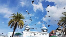 Jalali pigeons are flying in the sky of Shahjalal Mazar (Dargah Sharif), Sylhet.